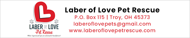 POWER-1071 Non-Profit Labor of Love